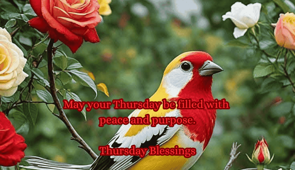 Thursday Blessings